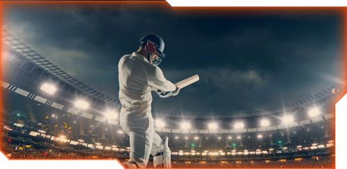 Meci de cricket