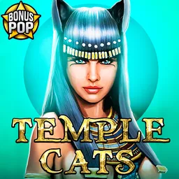 Temple Cats